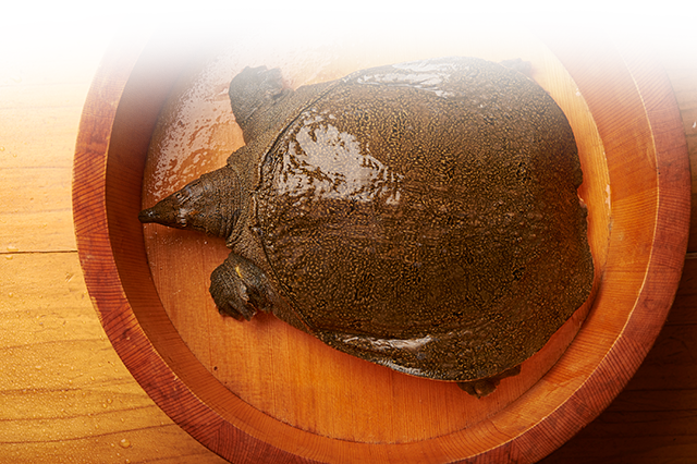 1日1組限定 高田馬場で個室の宴会にご利用ください